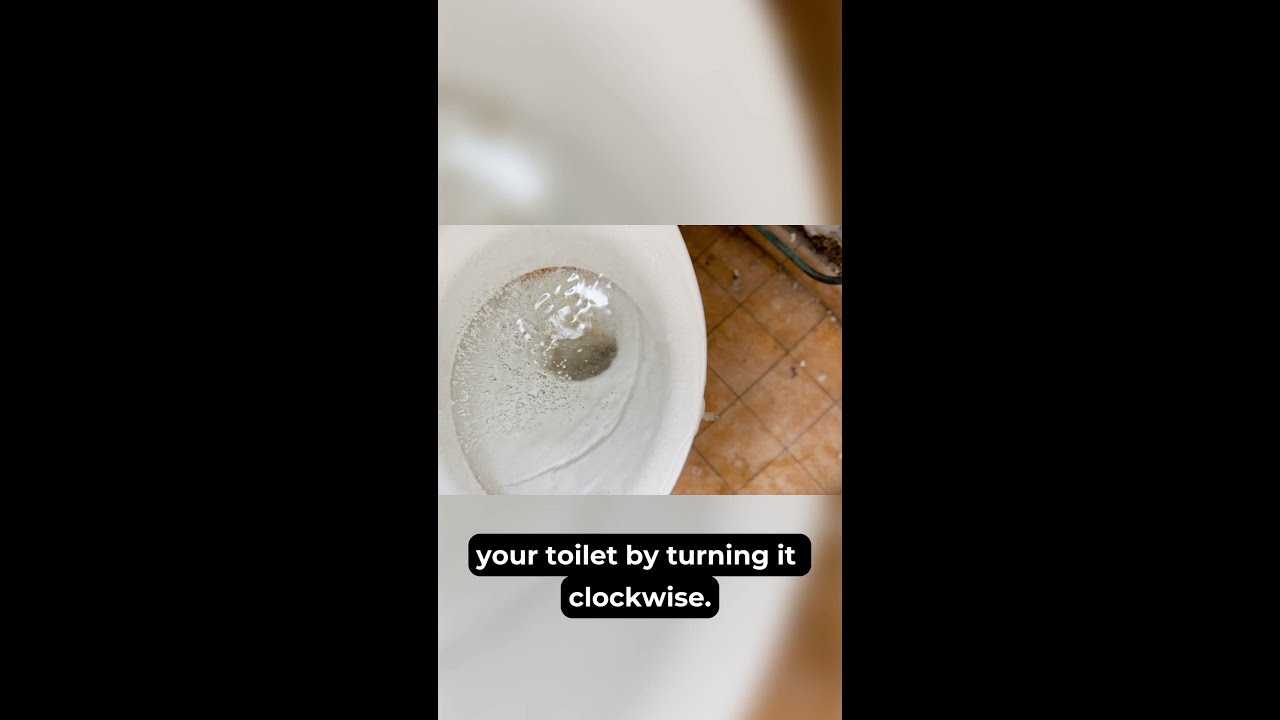Toilet Overflow Emergency? Here's What to Do in the First Few Minutes! 🚨