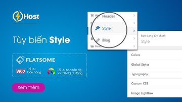 #Flatsome: Hướng dẫn tùy biến Style | Học WordPress từ A tới Z