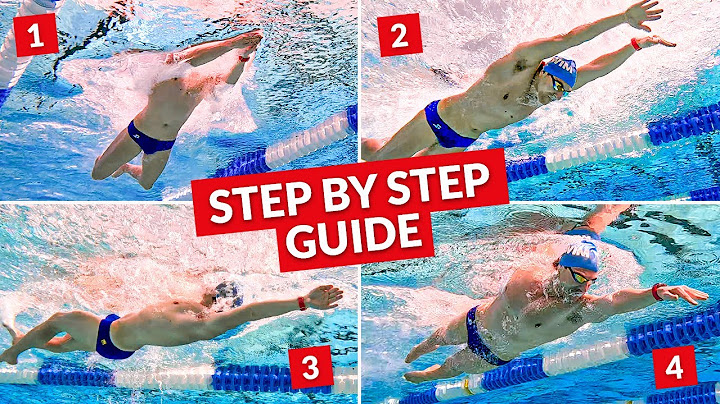How to Swim All Four Strokes