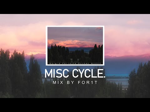 Lo-Fi House & Disco 2023 Mix - Misc Cycle Mix (Part 1) HD Visualizer @for1t