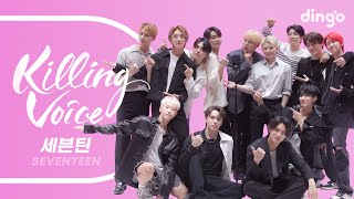 세븐틴(SEVENTEEN)의 킬링보이스를 라이브로! - 박수, 예쁘다, 울고 싶지 않아, A-TEEN, HOT, 아낀다, 어쩌나, Left \& Right | 딩고뮤직