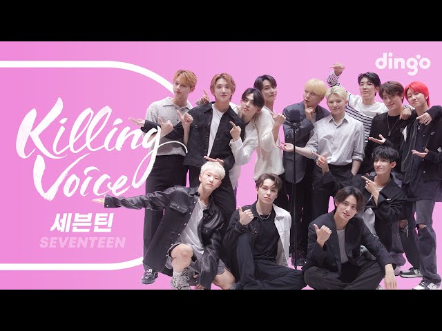 세븐틴(SEVENTEEN)의 킬링보이스를 라이브로! - 박수, 예쁘다, 울고 싶지 않아, A-TEEN, HOT, 아낀다, 어쩌나, Left u0026 Right | 딩고뮤직 class=