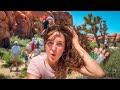 Camping with 9 Kids | Joshua Tree National Park