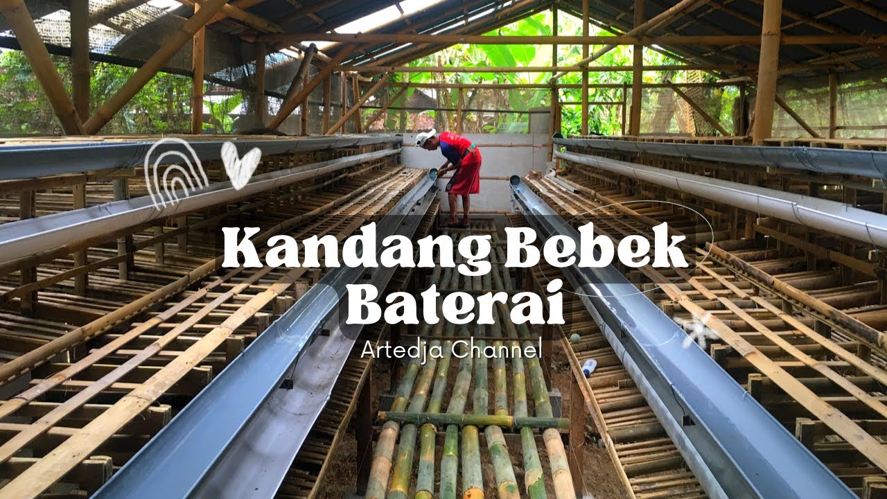 Kandang Bebek Modern Sistem Baterai Design ©️2022