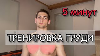 КАК НАКАЧАТЬ ГРУДЬ ДОМА С СОБСТВЕННЫМ ВЕСОМ ТРЕНИРОВКА