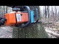 #90 Felling BIG Dead Oak! And 9 Bucks to Get Organized