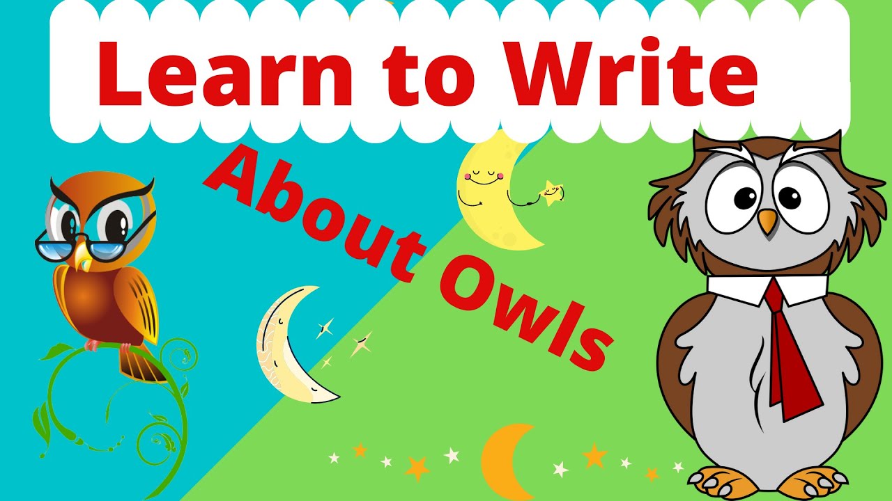 owl essay in english