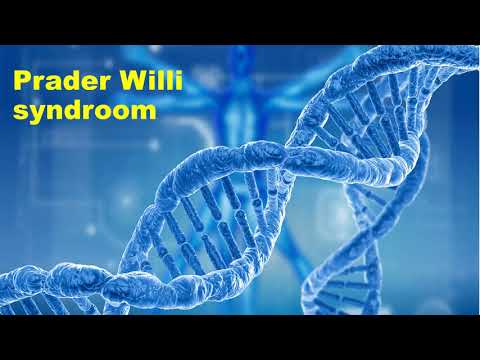Video: Prader-Willi-syndroom - Oorzaken, Symptomen En Behandeling