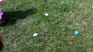 Abigail Easter egg hunt 2014