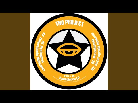 TNO Project — Nystagmus