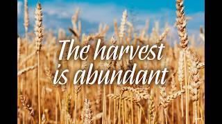 6/14/26, 11th Sunday in Ordinary Time