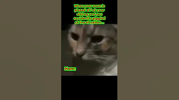 Kokos Try Not To Laugh Memes 713 