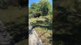 1915 Elk Trl Harker Heights, TX 76548