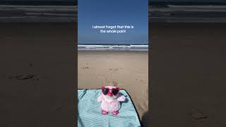 this is the life😎 #warmies #chillable #weighted #heatable #beach