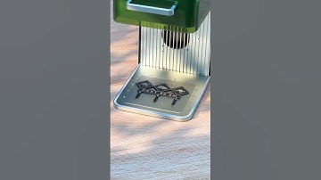 Animal Road Sign DIY with xTool Laser Engraving Macihne F1