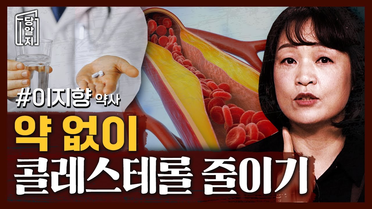 콜레스트롤 높다고 약만 먹으면 약 못끊습니다! 일상에서 콜레스트롤 약 줄이는 방법 l #이지향 약사 [#당알지 ] #고지혈증 #콜레스트롤 #콜레스트롤관리