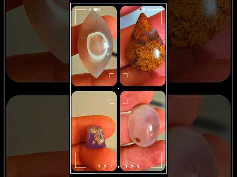 خرید از سایت دارای نماد اعتماد نگین باز عقیق  شجر 