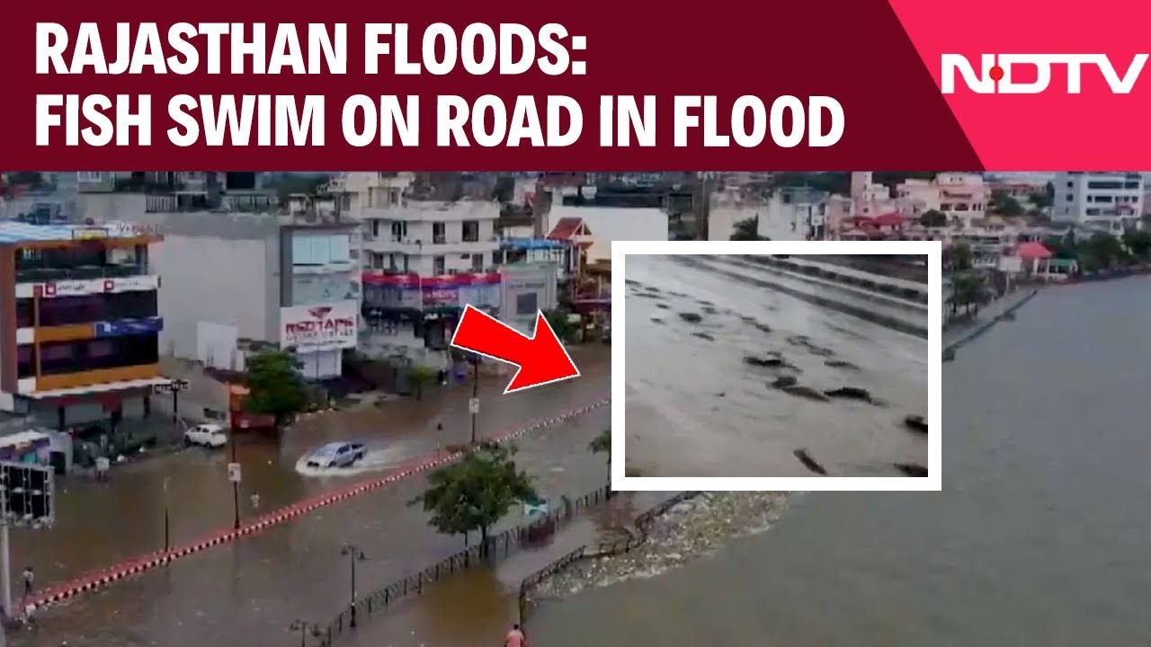 Ajmer Flood News | Rajasthan Battles Heavy Rain, Flooding, And Crop Losses