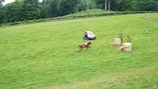 xc:) xxx