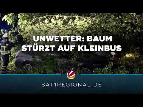 Baum stürzt auf Kleinbus in Hamburg: Insassen verletzt