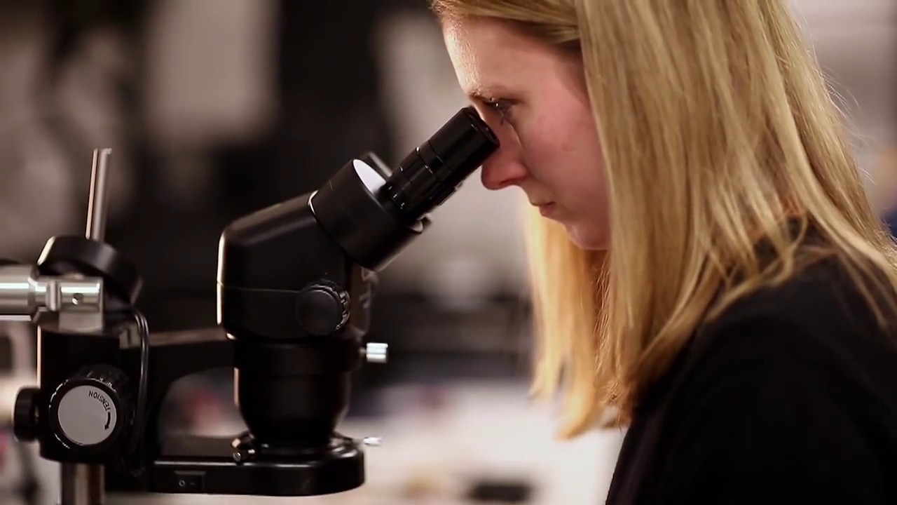 Why Work on Flash Storage at Micron