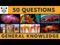 General Knowledge Quiz Trivia #32 | Sea Anemone, Scooby Doo, Grand Prix, Marketplace, Sorbet, Crab