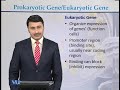 BT732 Genetics & Genomics Lecture No 149