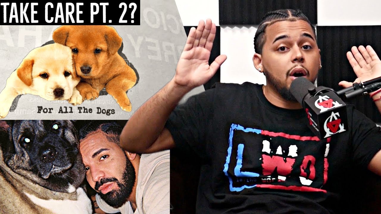 Take Care Pt 2? Everything We Know About Drake's Next Album "For All