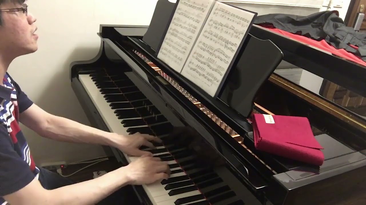 暴力版貝多芬‼️