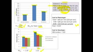 Genomic Selection Module 4.0b - Does Genomic Selection work
