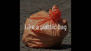 Plastic Bag - Katy Perry [Lyrics Video] Shorts