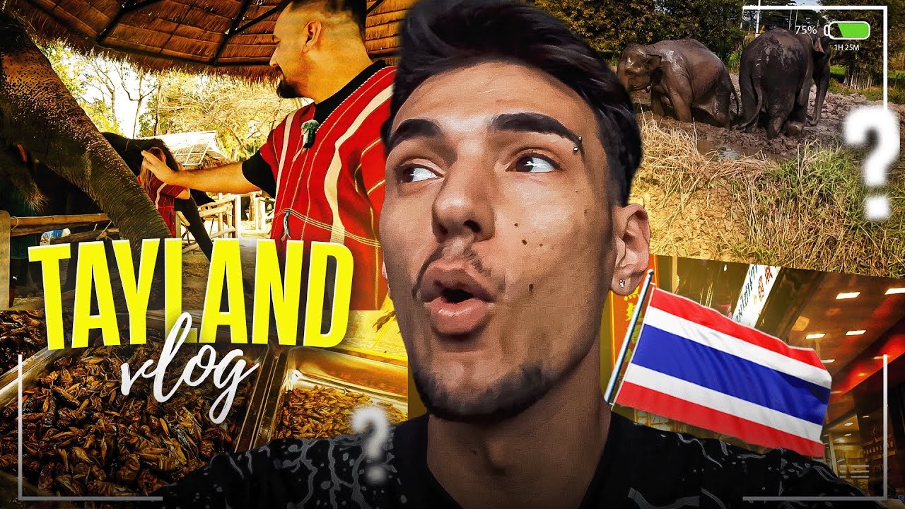 AYRANI YOK İÇMEYE, FİLLE GİDER ÇEŞMEYE (TAYLAND VLOG)