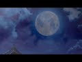 夜の訪問者 ~ 【歌詞付き】