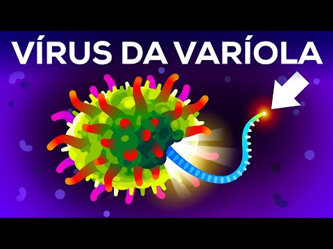 O (segundo) vírus