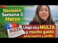 💶Revisión S 3 marzo | otra multa y mucho gasto en huerto/jardin