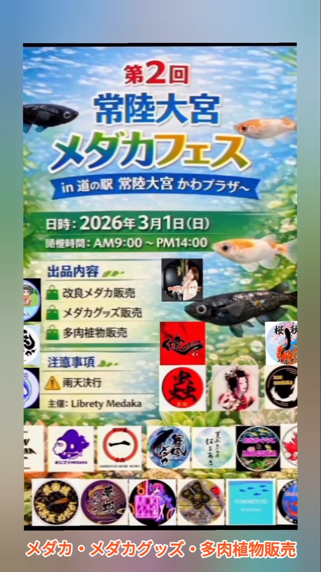 第2回 常陸大宮メダカフェスin道の駅常陸大宮かわプラザ 3月1日(日