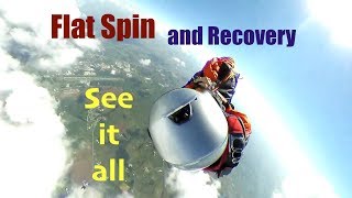 Wingsuit Flat Spin and Recovery - See it all courtesy of Insta360