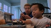 Feeding Wild Animals | The Little Couple - YouTube