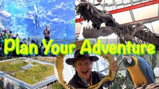 California Academy of Science.  HOW TO?  Top Family Attraction San Francisco