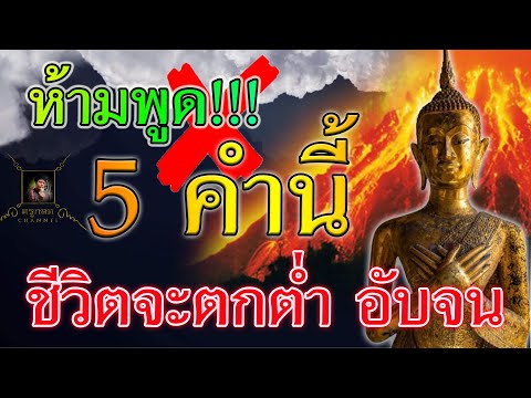 ห้ามพูด!!! 5 คำนี้ ถ้าอยากประสบความสำเร็จในชีวิต และ 5  คำพูดติดปาก พูดบ่อยๆ รับรอง ชีวิตดี