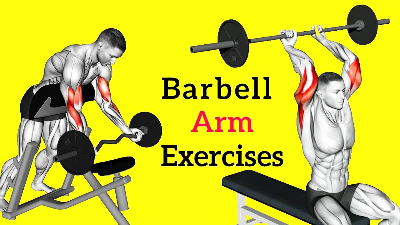 12 Barbell Arm Exercises for Bigger and Stronger Arms 