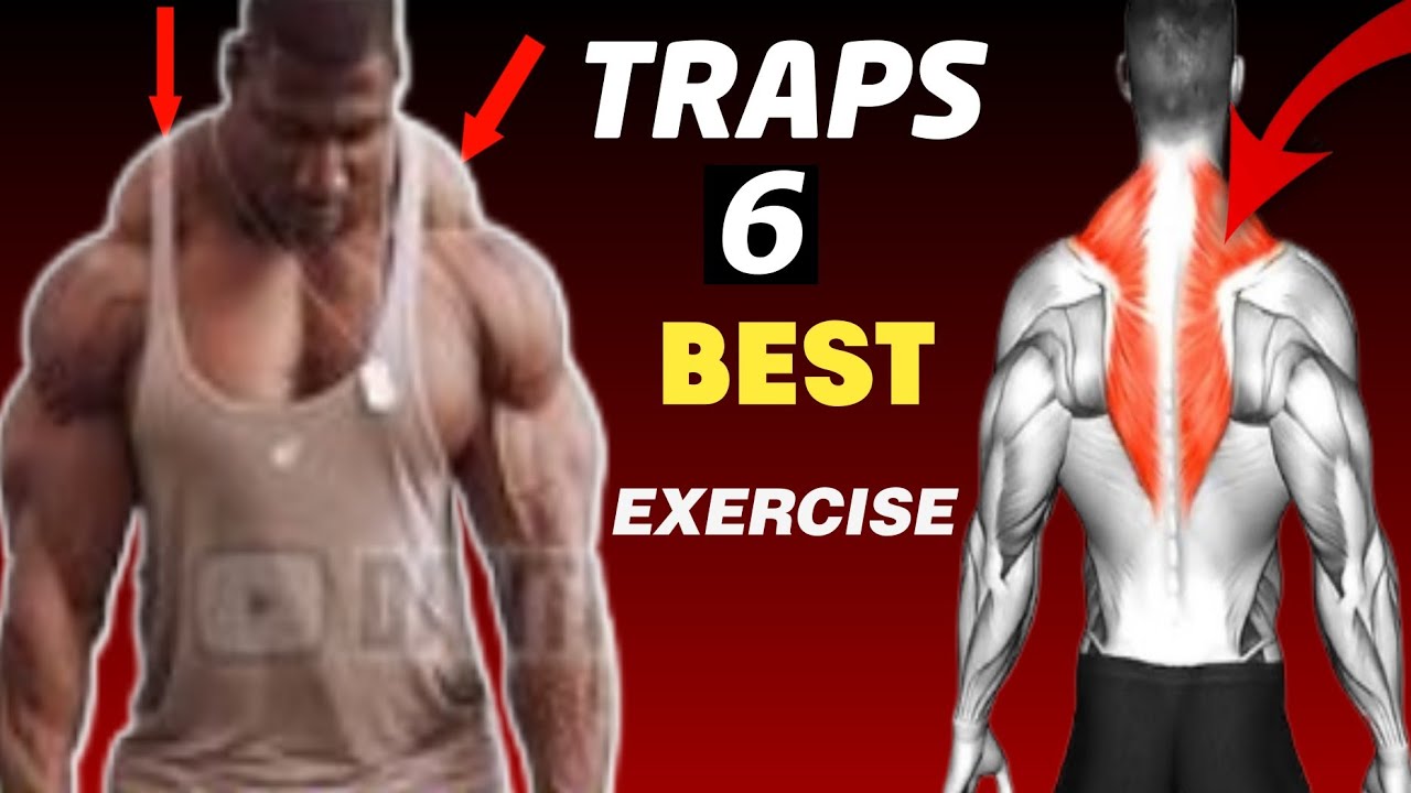 6 BEST EXERCISE TRAPS workout☑️traps workout calisthenics YouTube