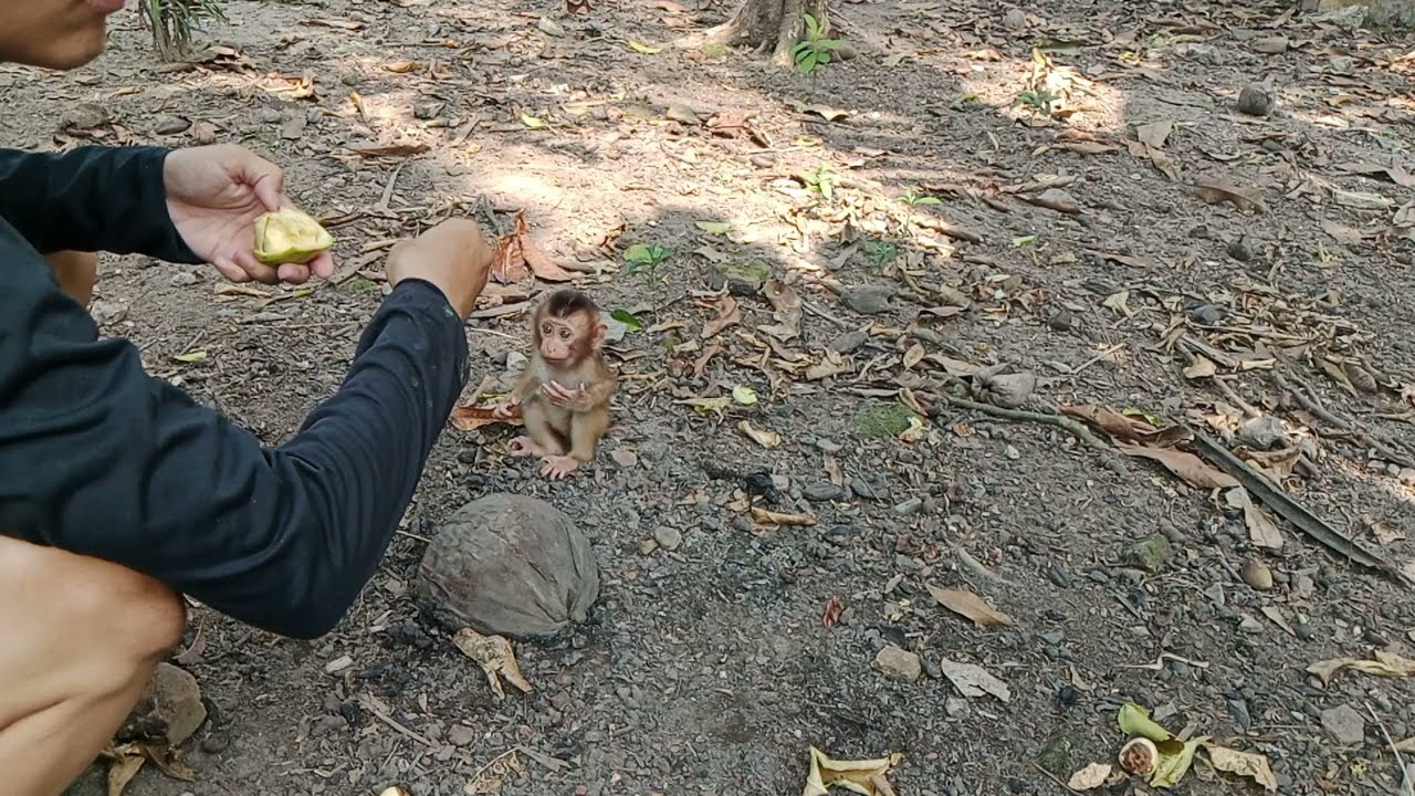 INTERACTING WITH BABY CIKA BERUKS