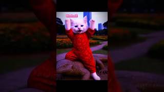 kucing lucu ini sedang joget sambil nyanyi cicak cicak di dinding 🦎🦎🦎