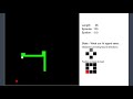 AI learns to play SNAKE using Reinforcement Learning