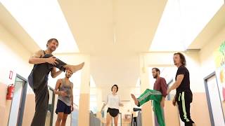 Download Lagu Dansa D MP3