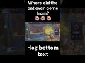 where did the cat even come from #overwatch2 #gaming #overwatchps #overwatchclips #overwatch #ow2