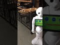 Встреча с роботом а аэропорту Вашингтона январь 2018