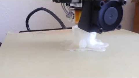 Wanhao Duplicator i3 - First Print