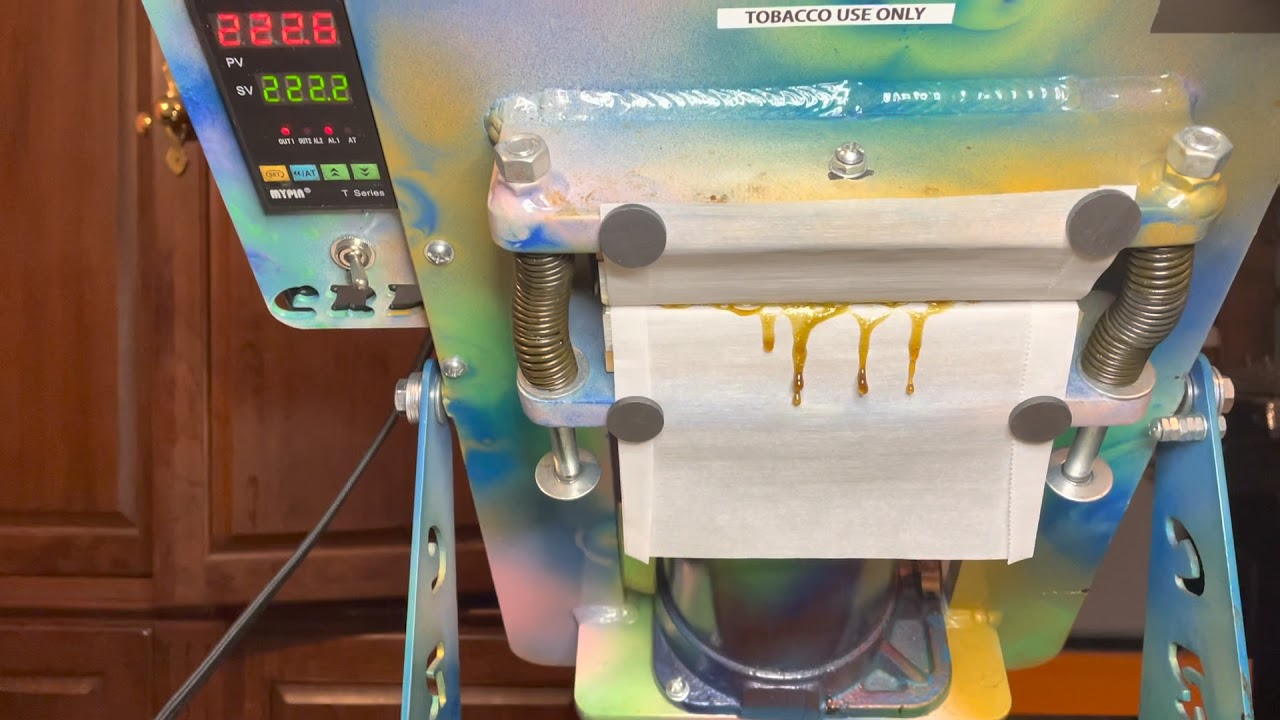 Pressing 3.5 Grams' PT Stardawg #36 Into Flower Rosin!